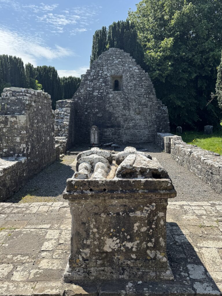 IMG 0302