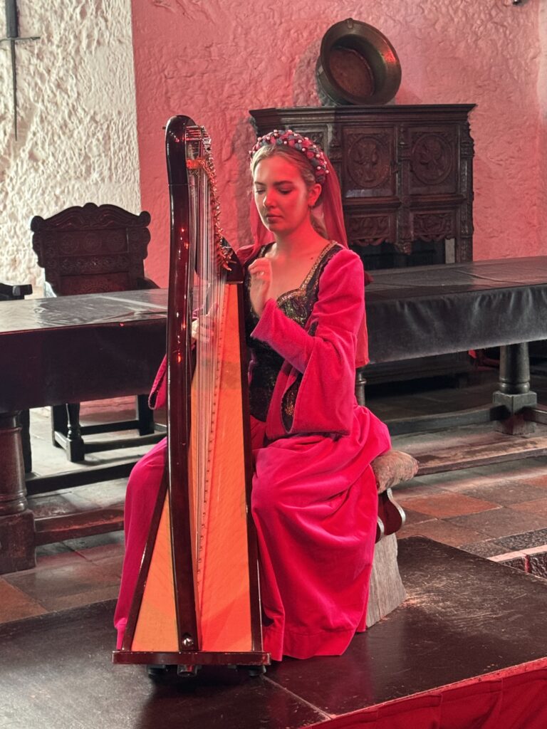 Harpist at Bunratty Medieval Feast