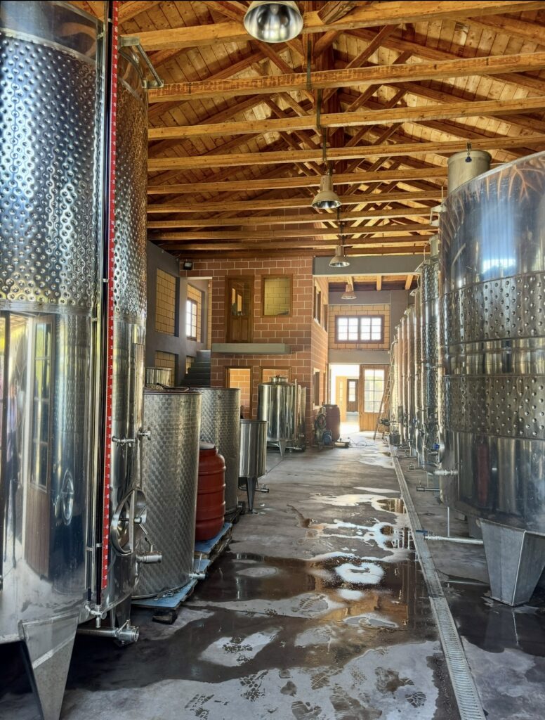 Winery tour