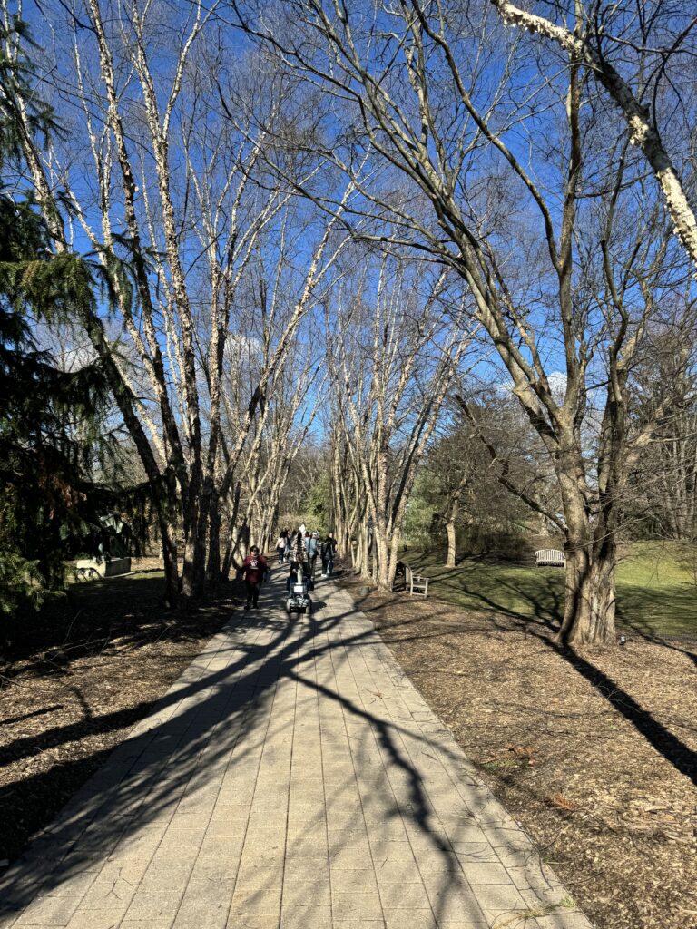 Grounds for Sculpture