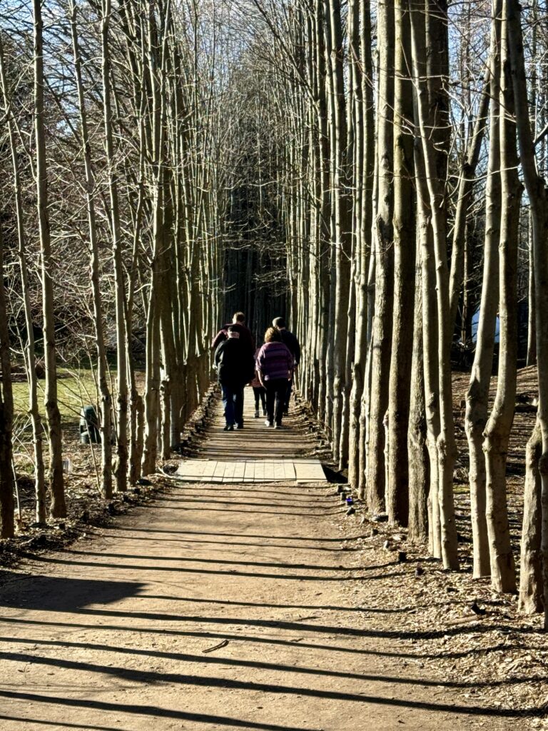 Grounds for Sculpture