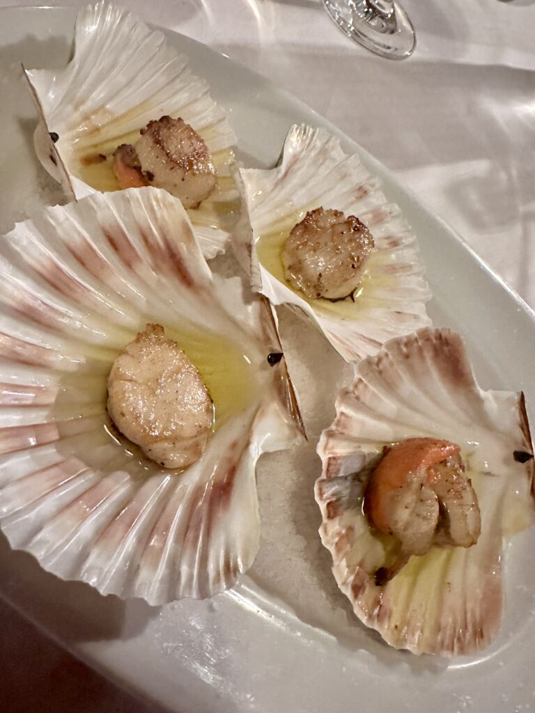 Scallops
