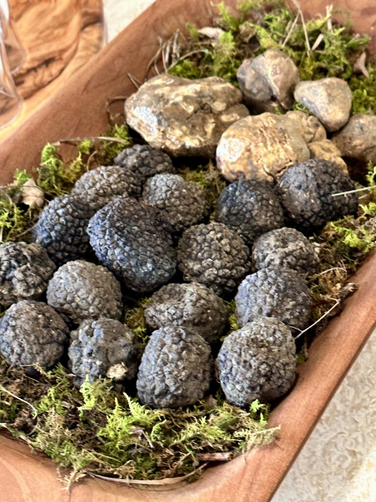 White and black truffles
