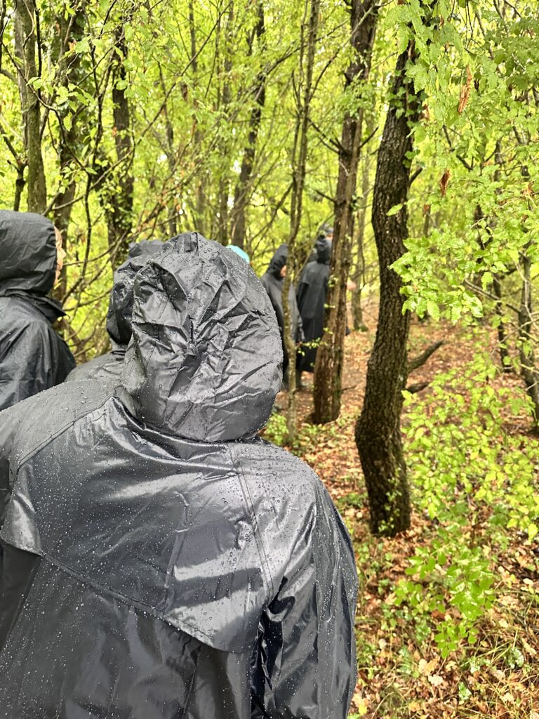 Truffle hunting in the pouring rain