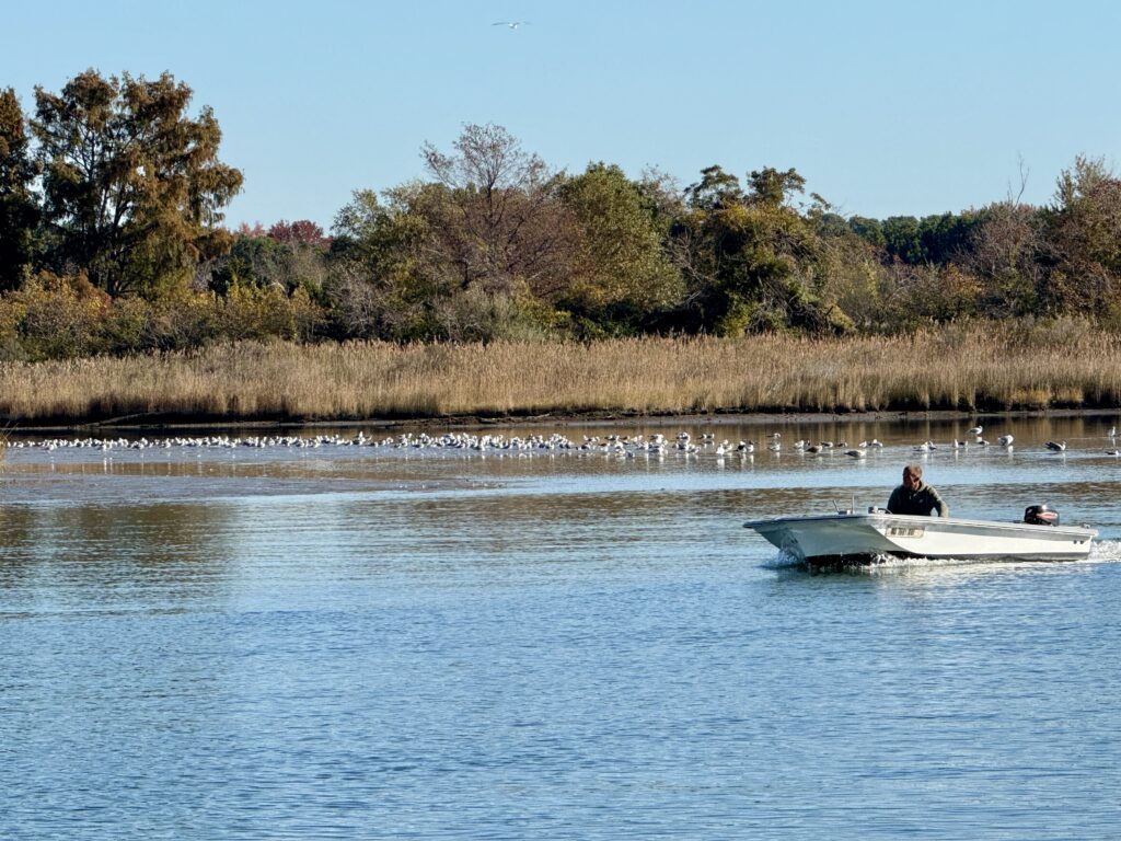 Boat on the water