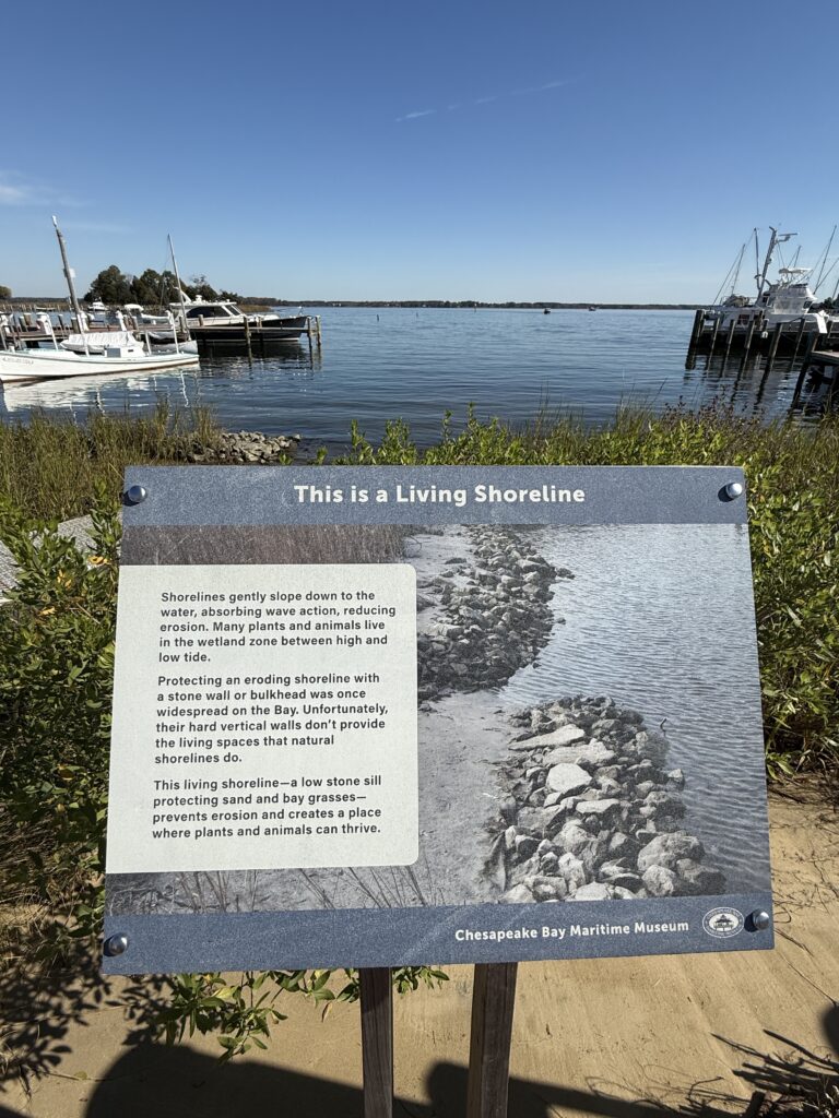 Chesapeake Bay Maritime Museum