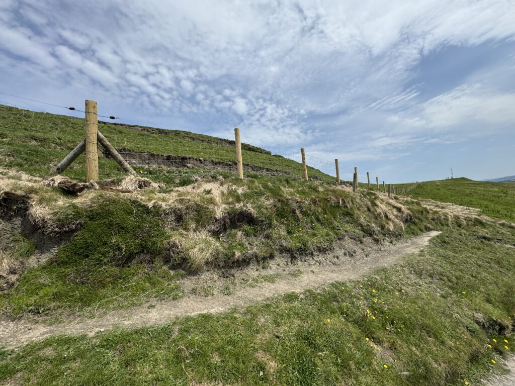 Paths