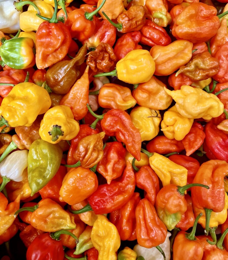 Peppers