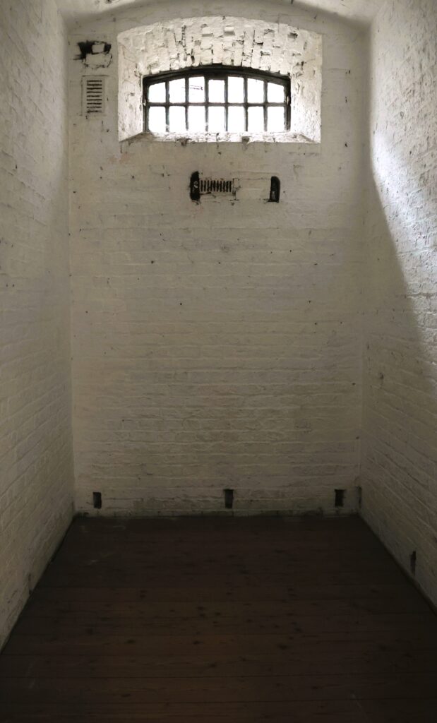 Inside of a cell
