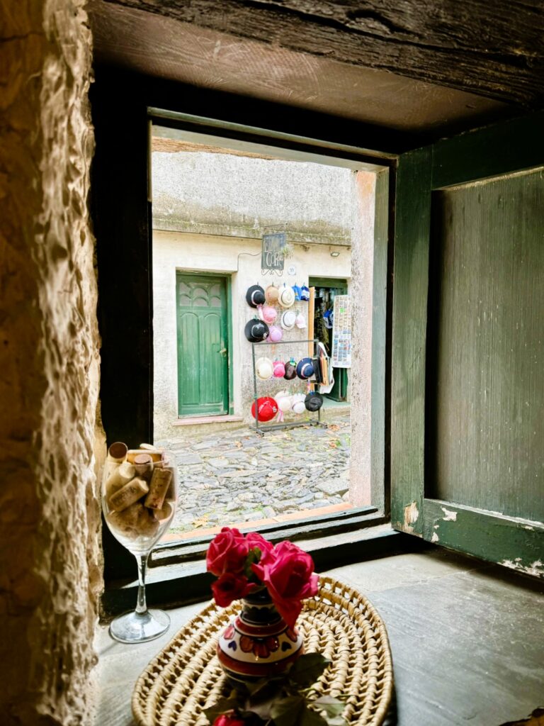 Wine tasting in Colonia del Sacramento