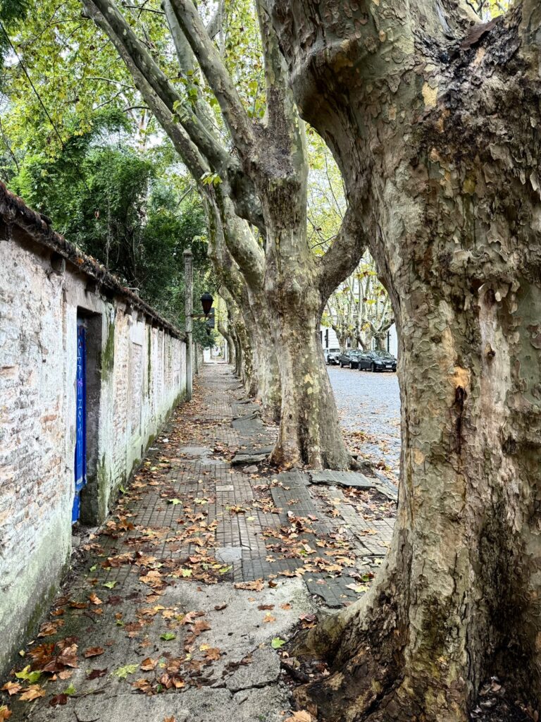 Colonia del Sacramento