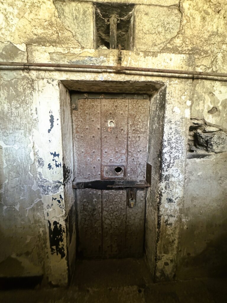 Cell door