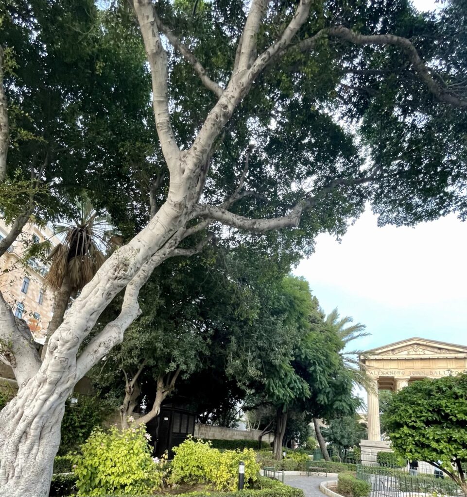 Valletta