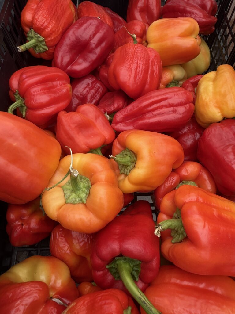 Fresh veggies