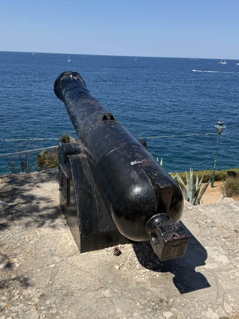 Cannon