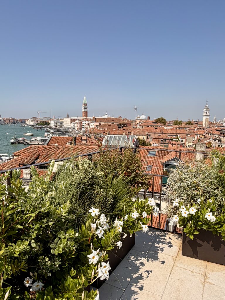 Venice rooftops