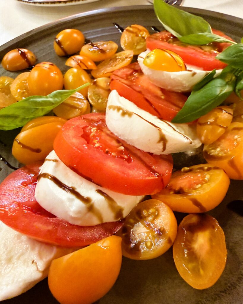 Tomato and fresh mozzarella salad